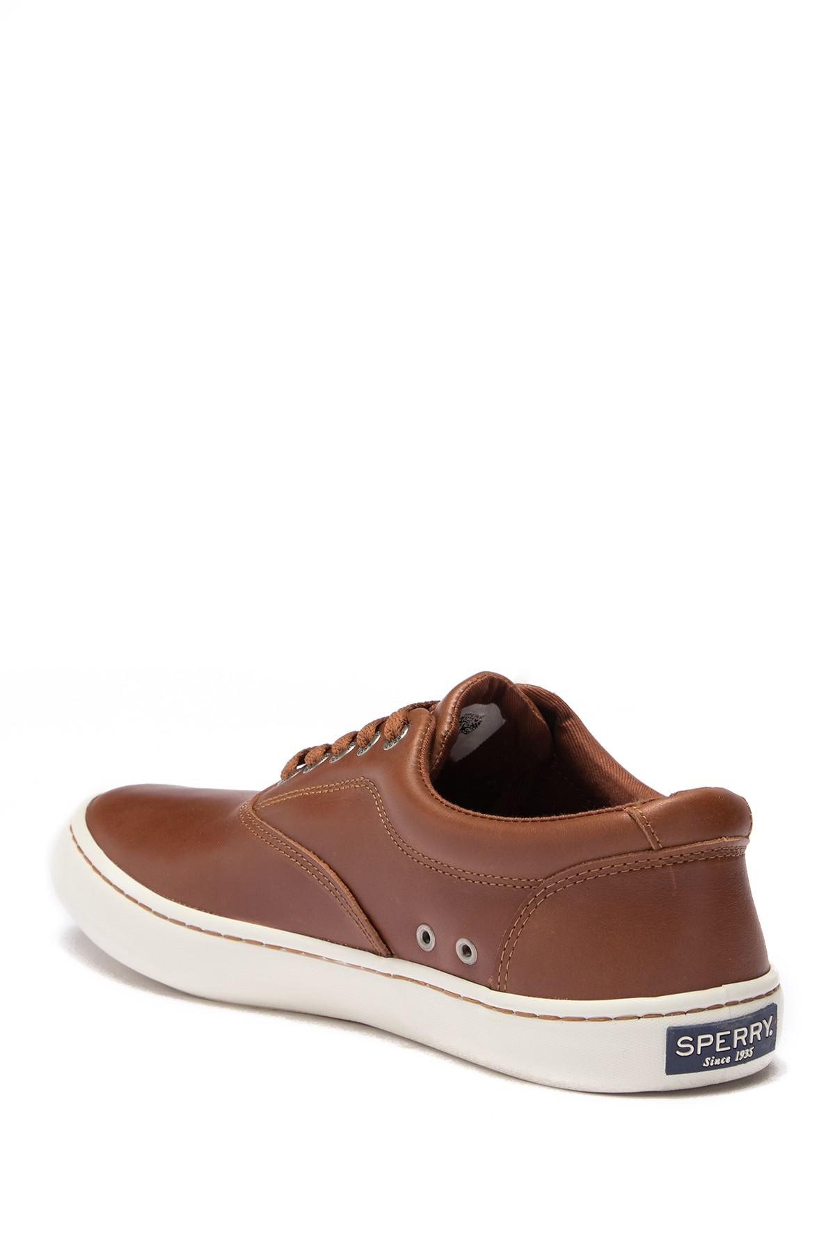 sperry cutter cvo leather
