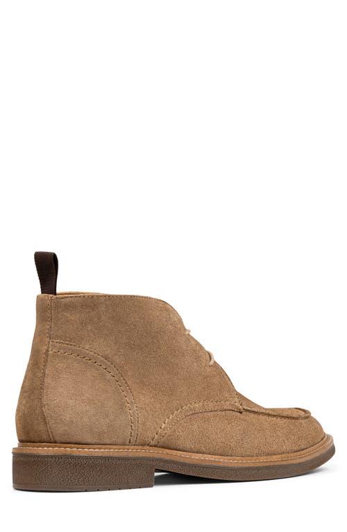 Donald J Pliner Casual boots for Men | Online Sale up to 62  display picture 2
