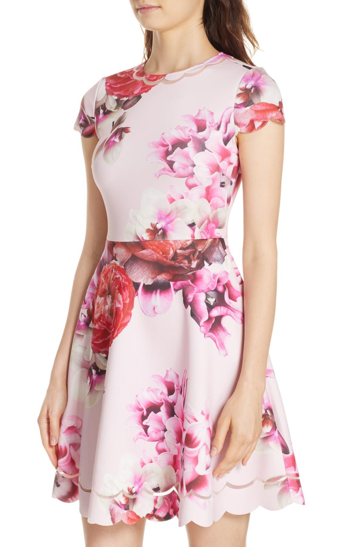 ted baker splendour dress