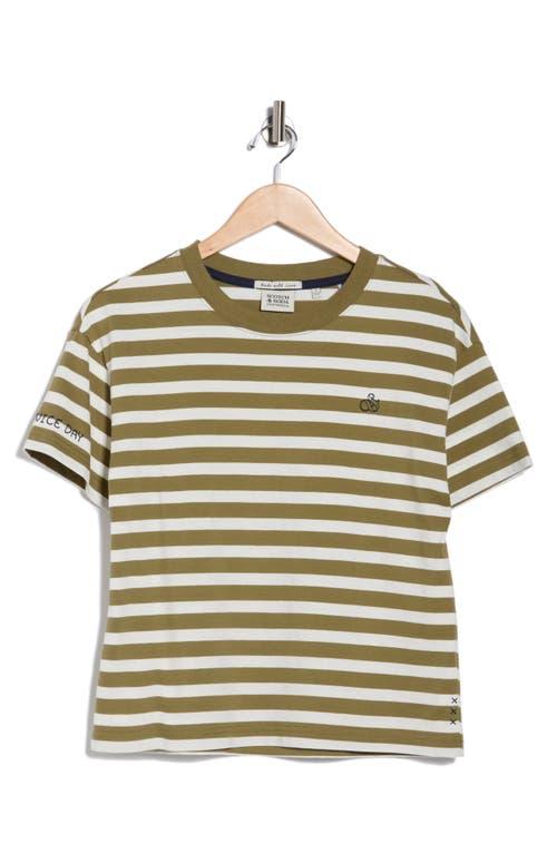 “Scotch & Soda”テクスチャードコットンボーダーTシャツ Green Scotch & Soda”テクスチャードコットンボーダーTシャツ Green