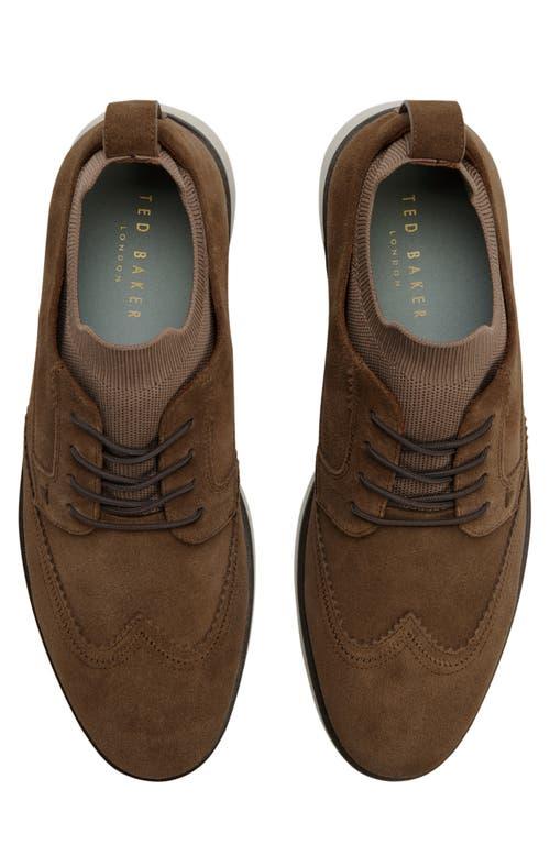 Ted Baker Brown Suede wingtip Brogue Derby Shoes with Cream Laces Ted Baker | Shoes | Ted Baker London Mens Hosei Oxfords  main image 2