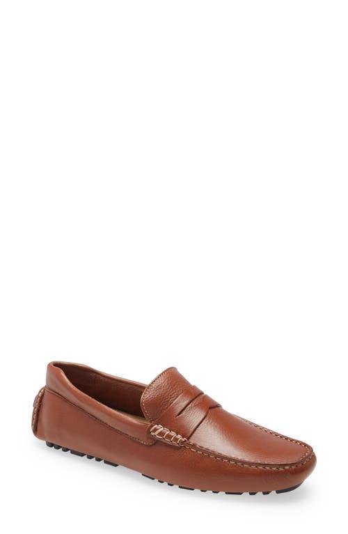 Nordstrom Driving Penny Loafer in Brown for Men Lyst