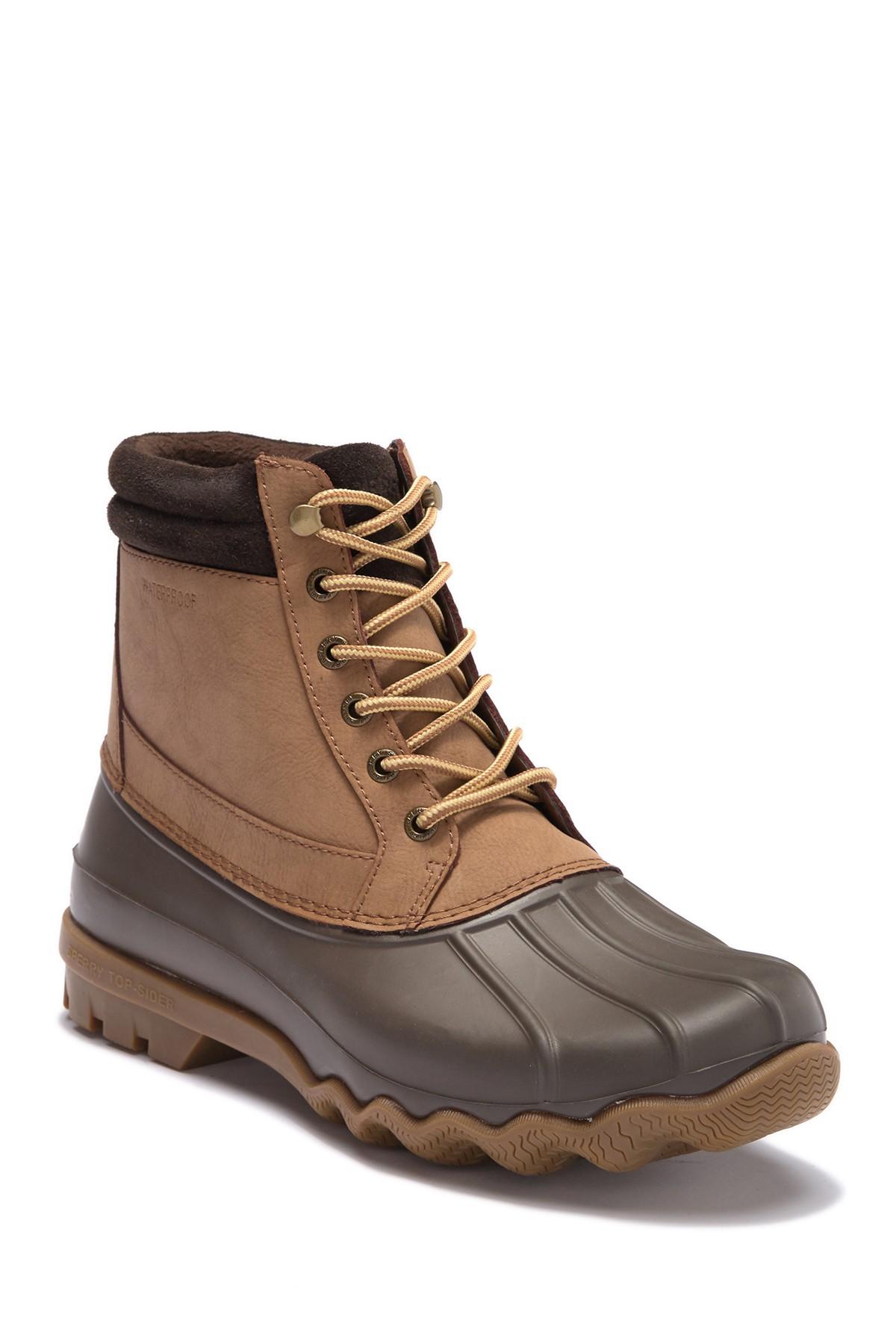 sperry brewster