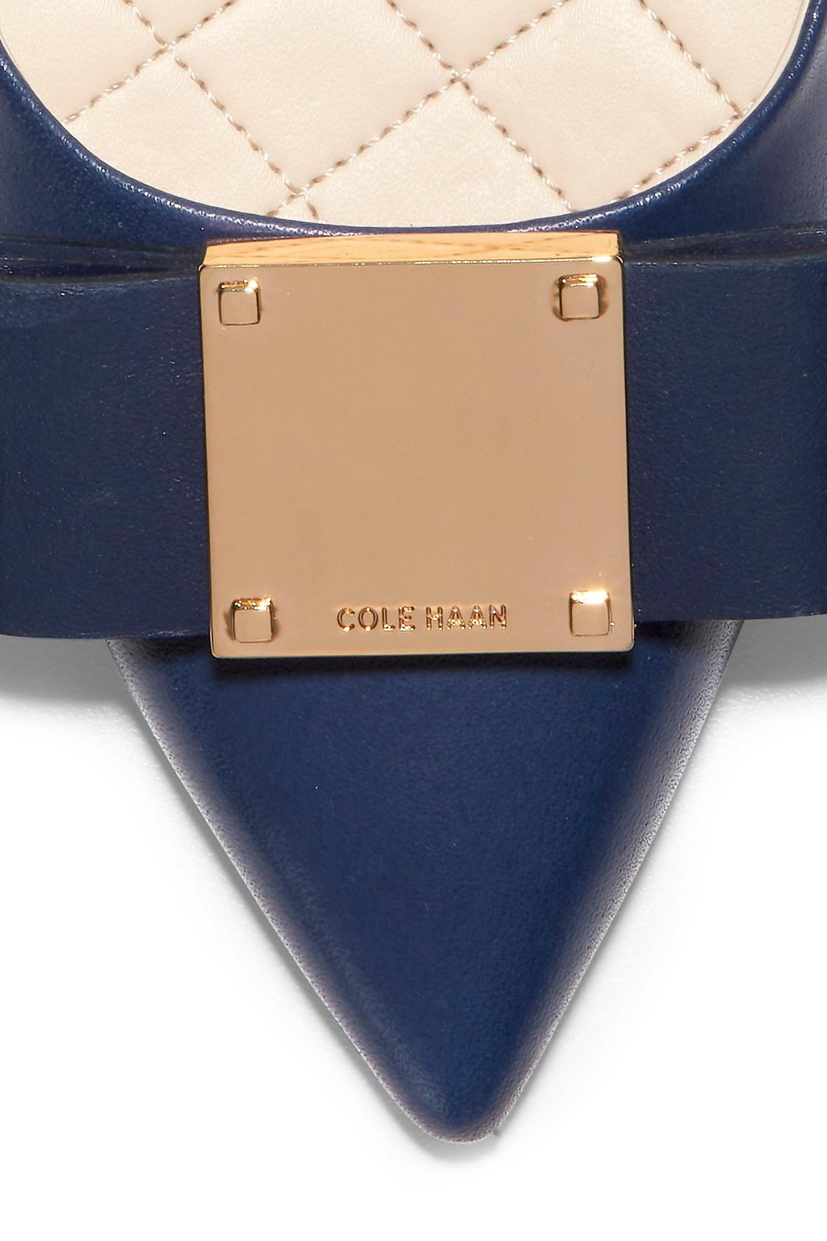 tali modern waterproof bow pump