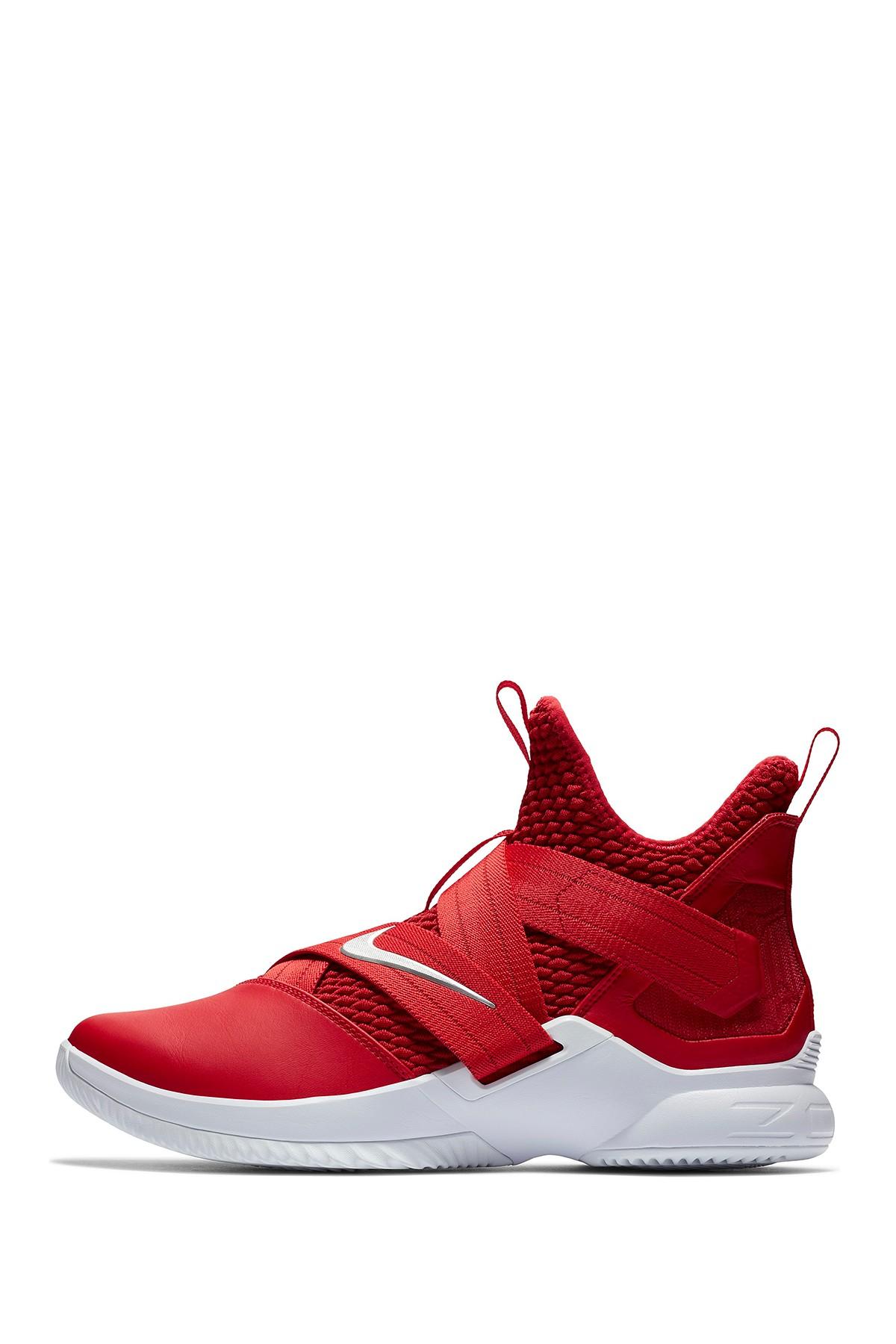 lebron soldier 12 tb