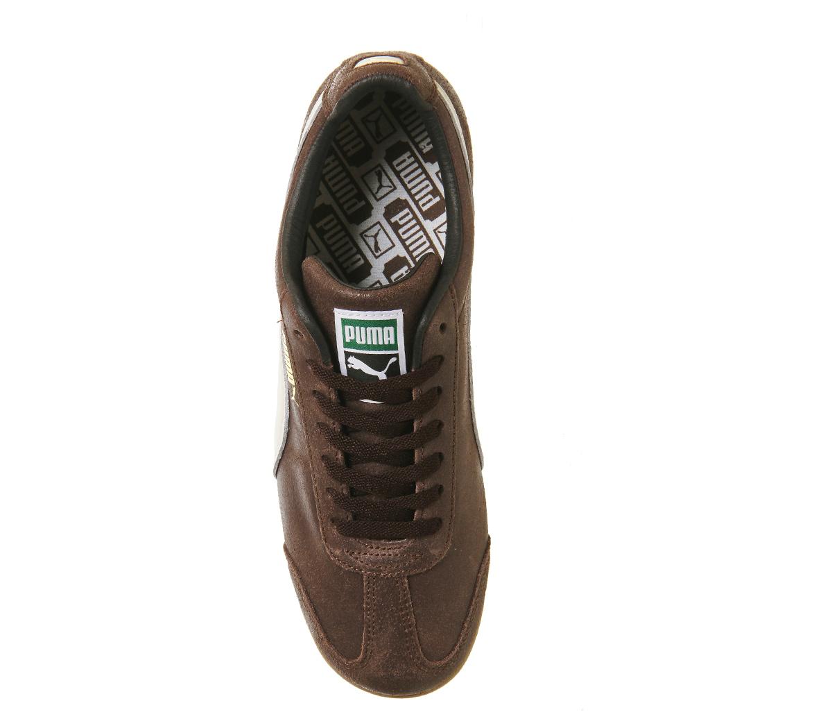 brown puma.com