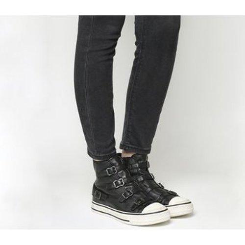 ash virgin high top trainers