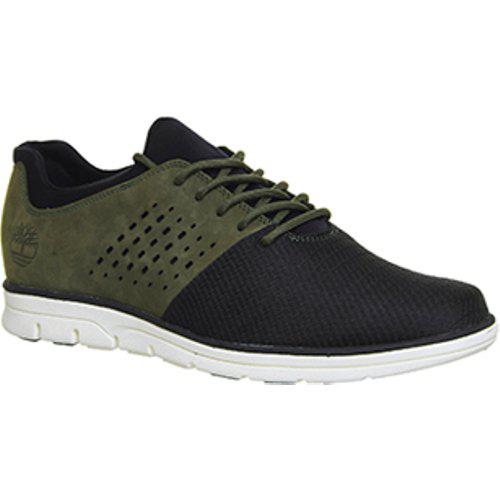 timberland bradstreet oxford