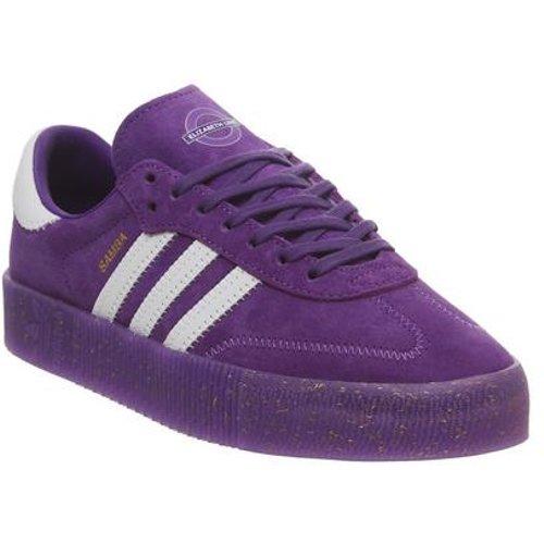 adidas samba rose suede