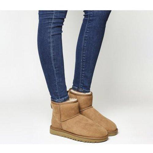 tan short uggs