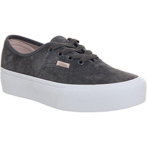 vans ck vans ck