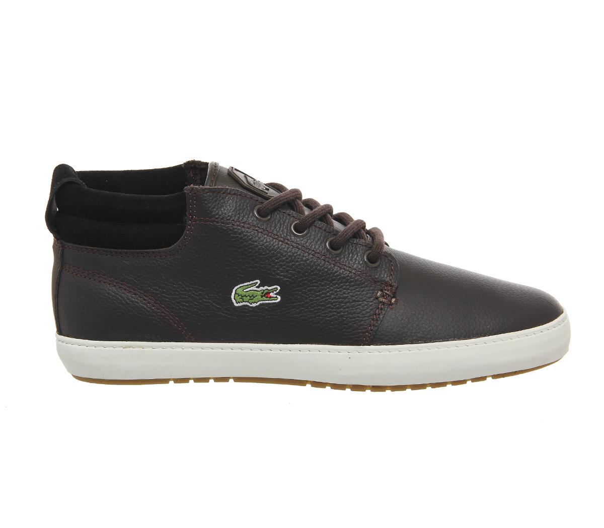 ampthill terra lacoste