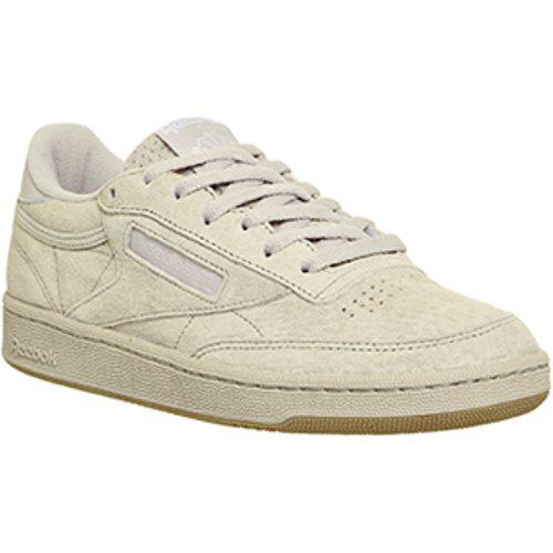 reebok c 85 suede
