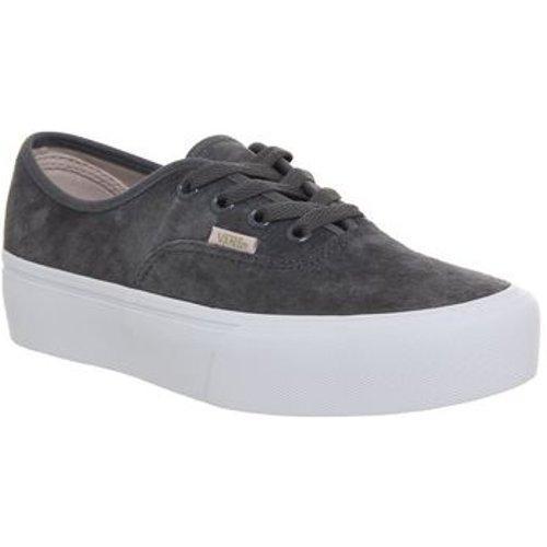 vans ck vans ck