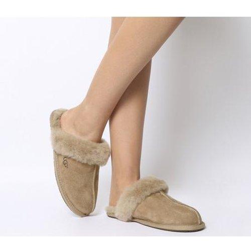 ugg scuffette shoes