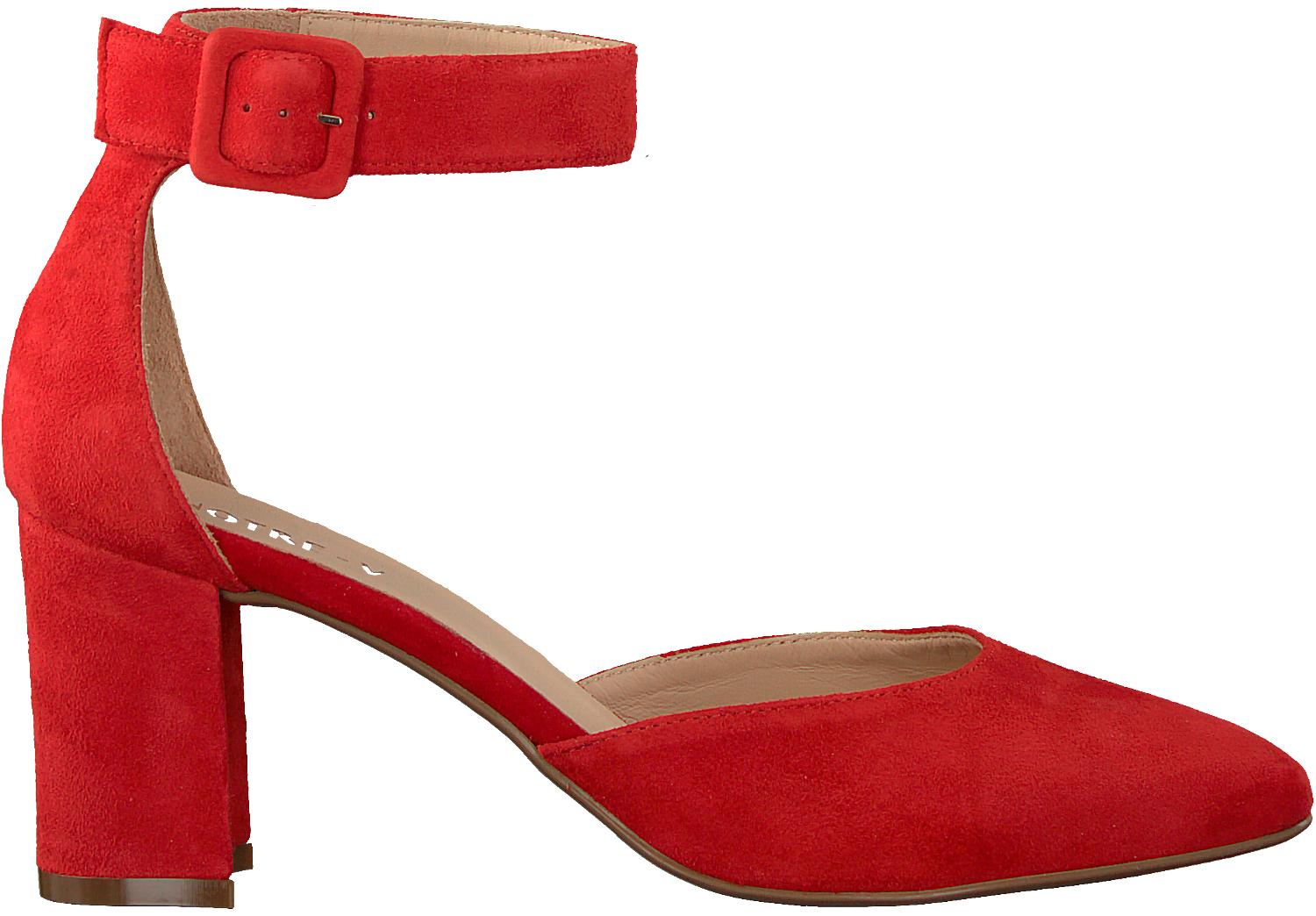 دعم مالي درجتين الازدواجية rode hakken - rise-association.com