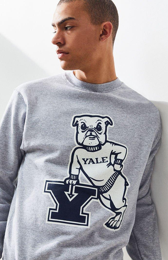 Champion Fleece Yale Bulldog Crew Neck Sweatshirt in Gray for Men 