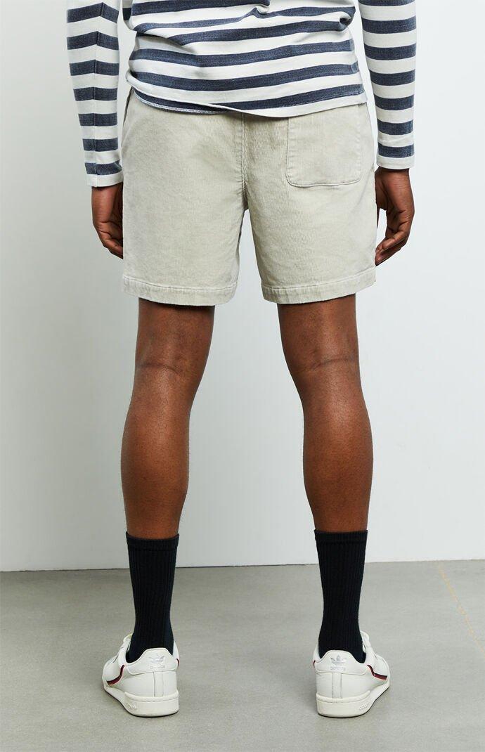 pacsun volley shorts