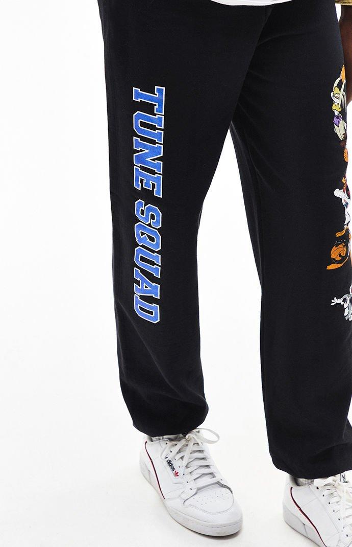tune squad hoodie pacsun