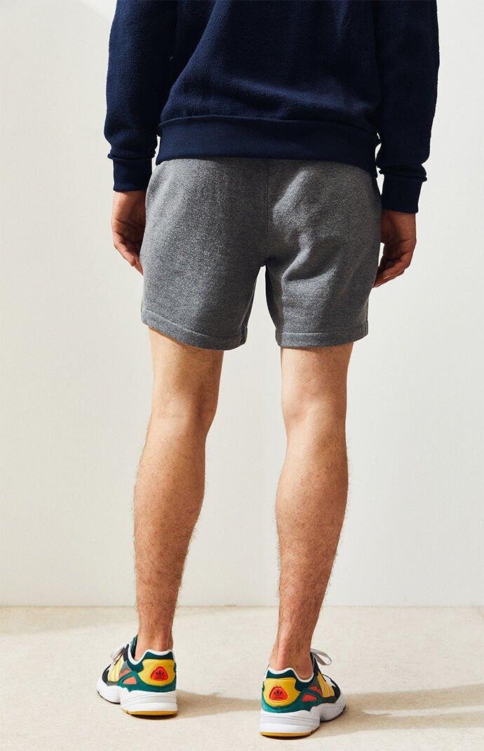 pacsun volley shorts