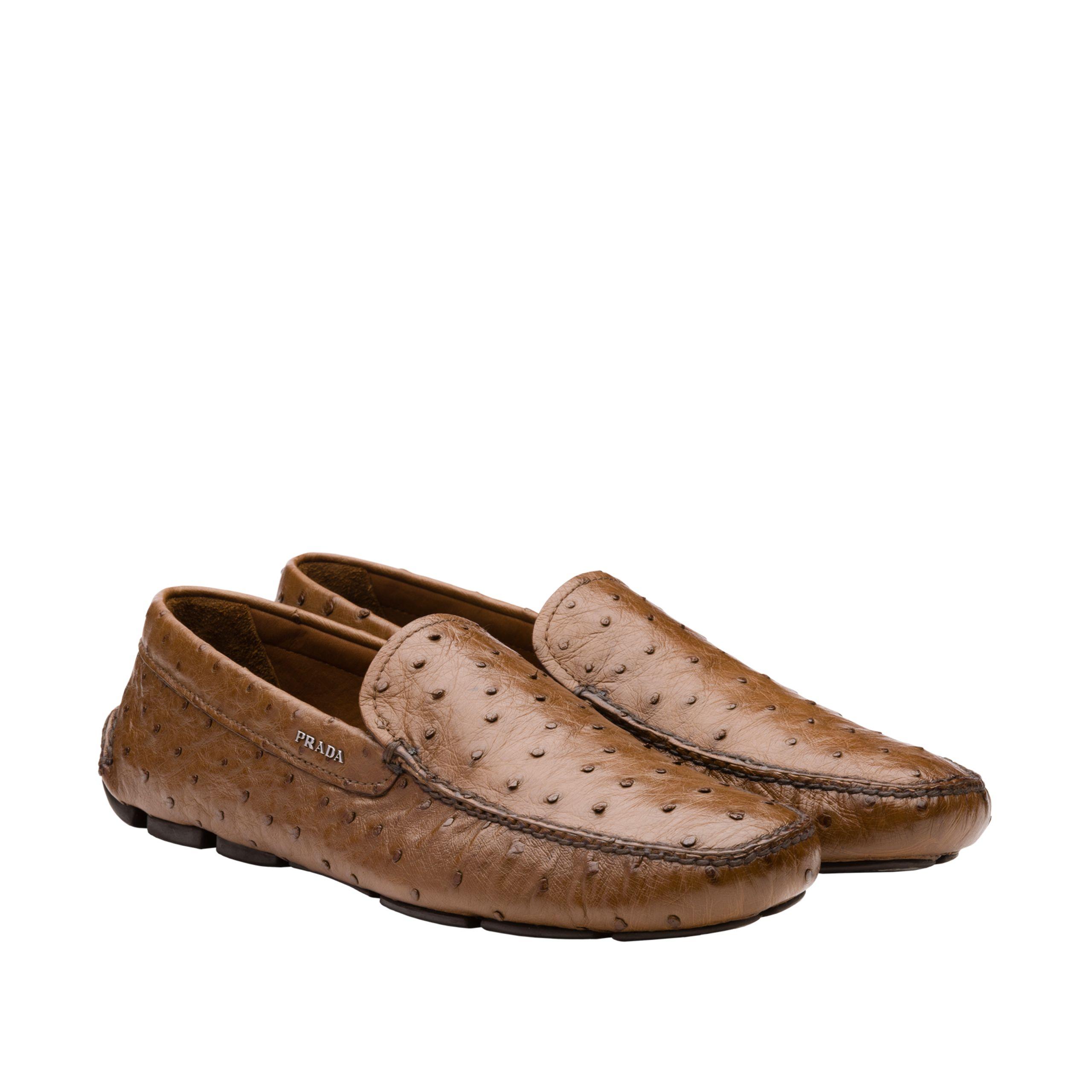 Prada logo-plaque suede driving shoes - Brown