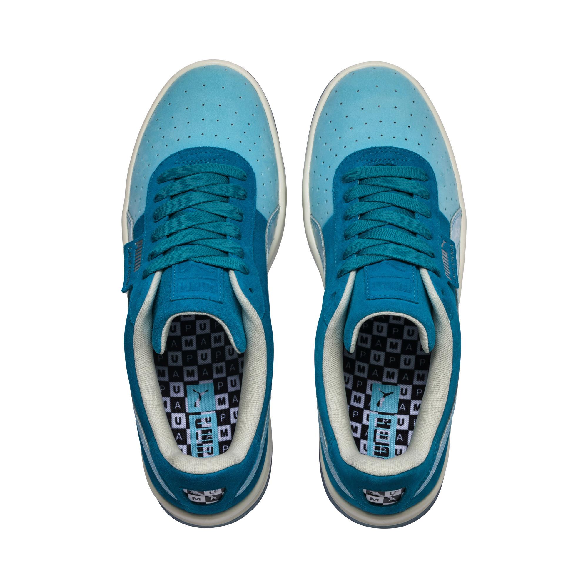 puma california pool