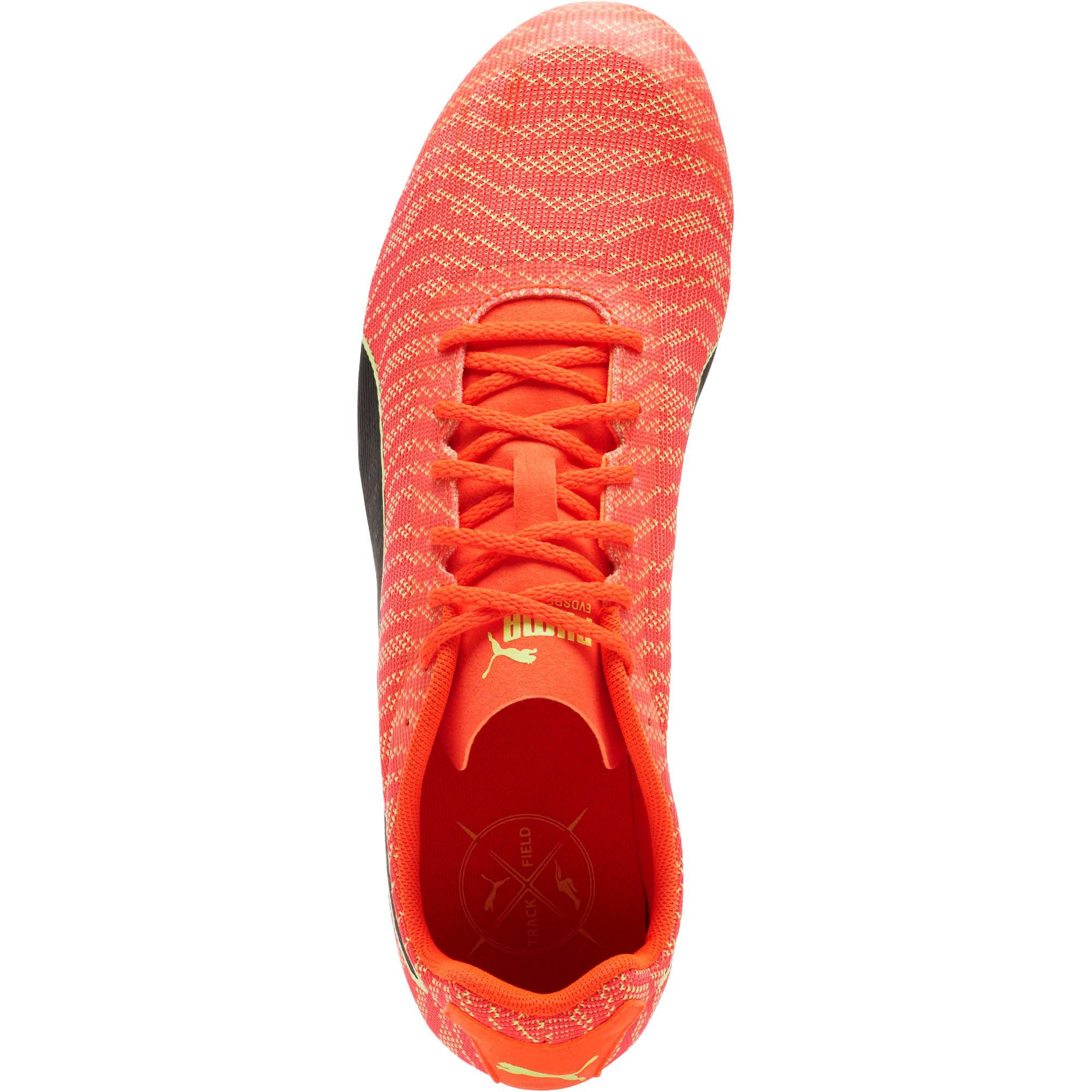 evospeed star 6