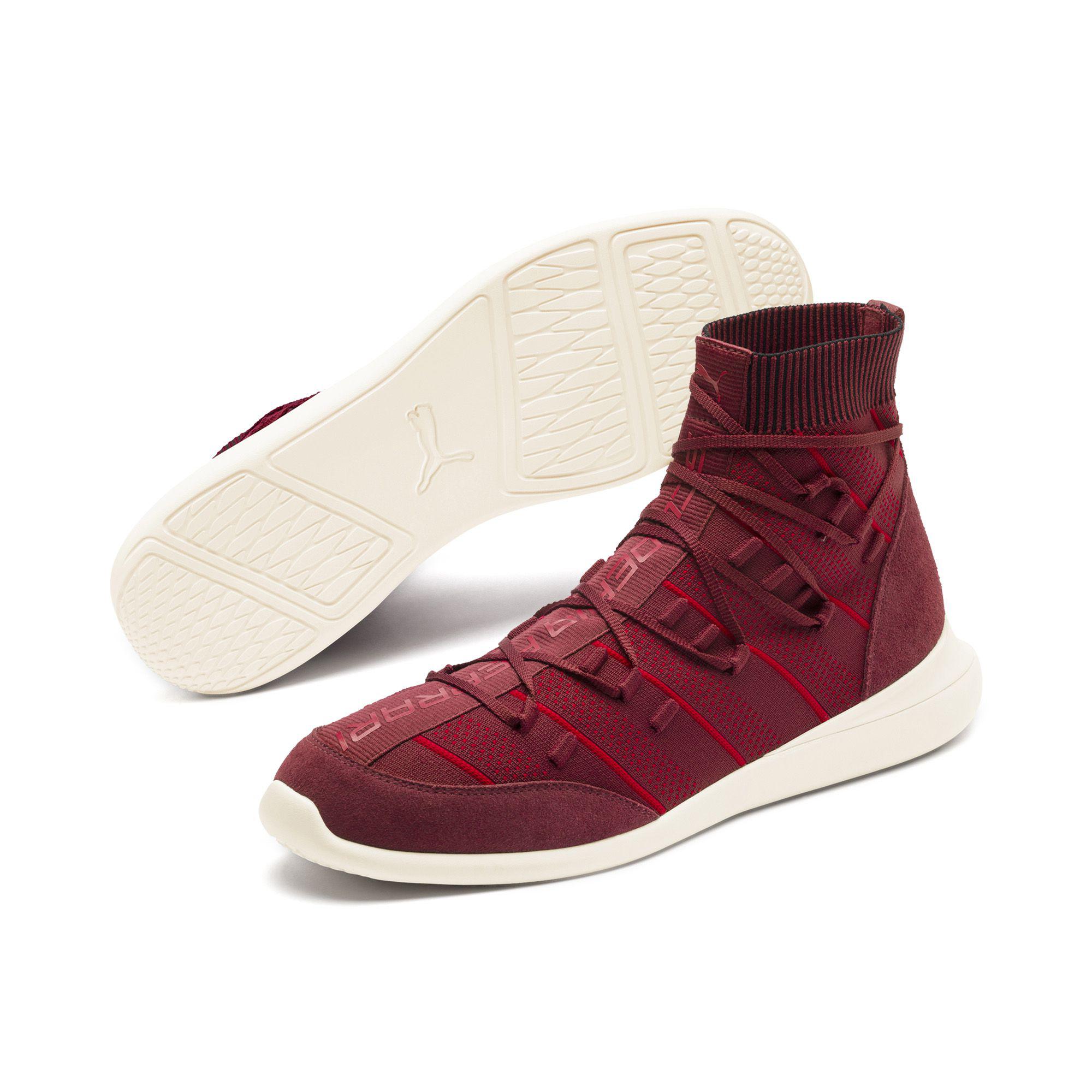 puma sf evo cat