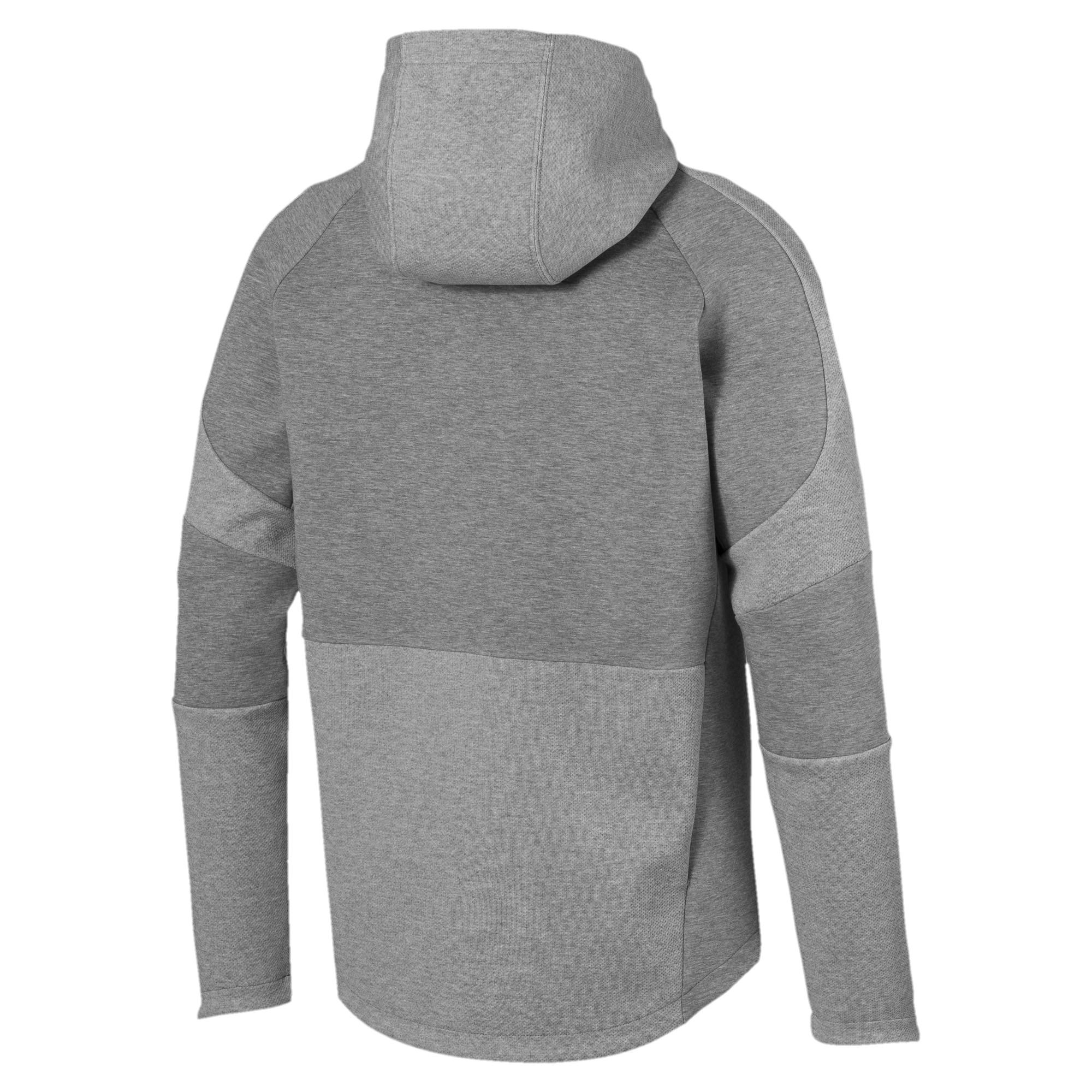 evostripe move hooded jacket