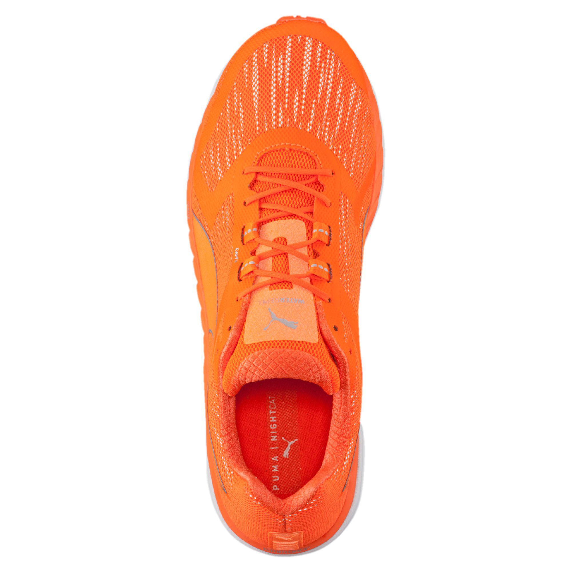 PUMA Speed 500 Ignite Nightcat Men's Running Shoes in Orange-Silver-Orange ( Orange) for Men - Lyst