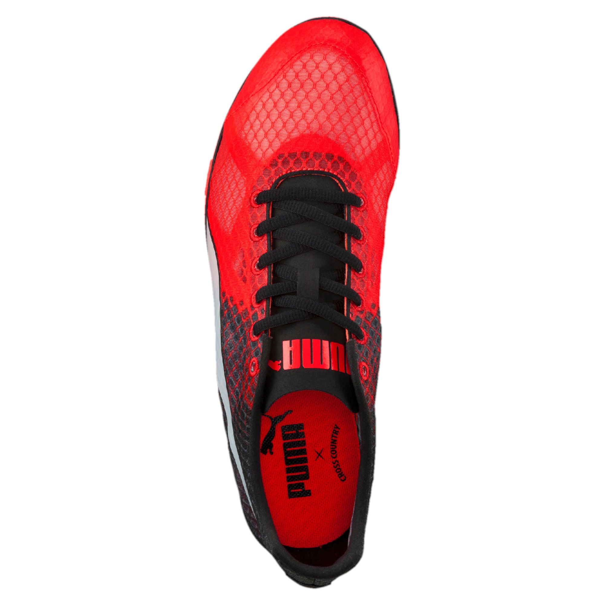 puma spikeless track shoes