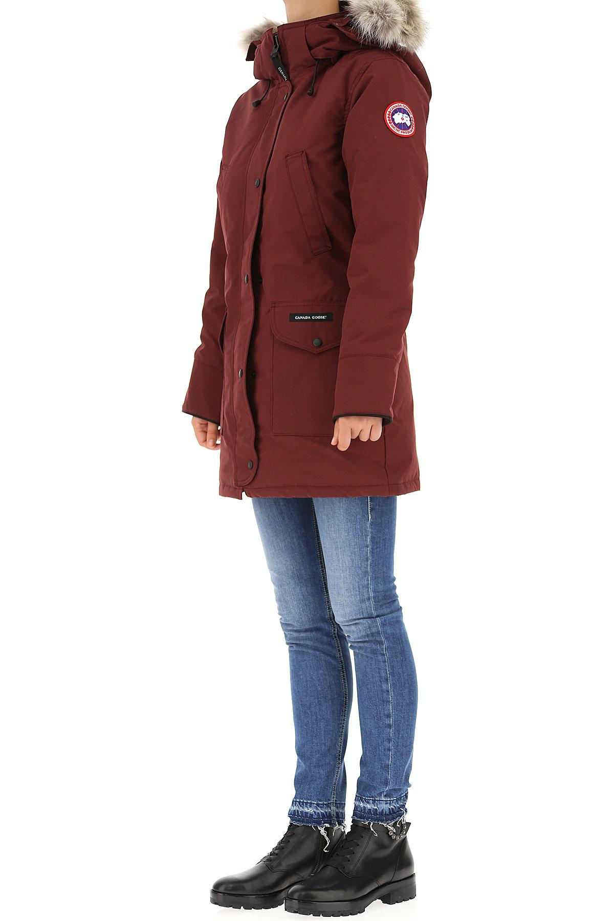 burgundy canada goose jacket