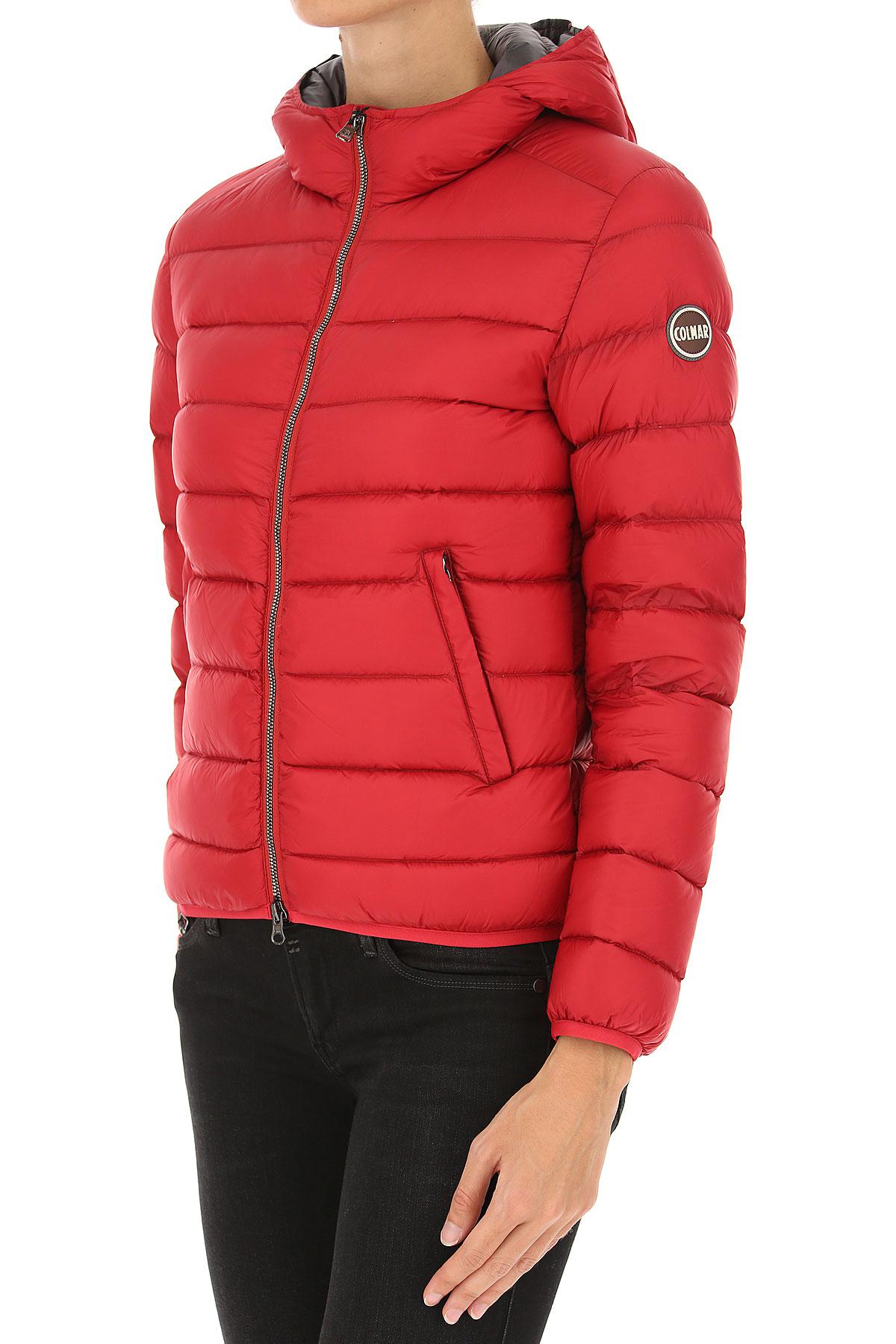 dakine ski travel bag