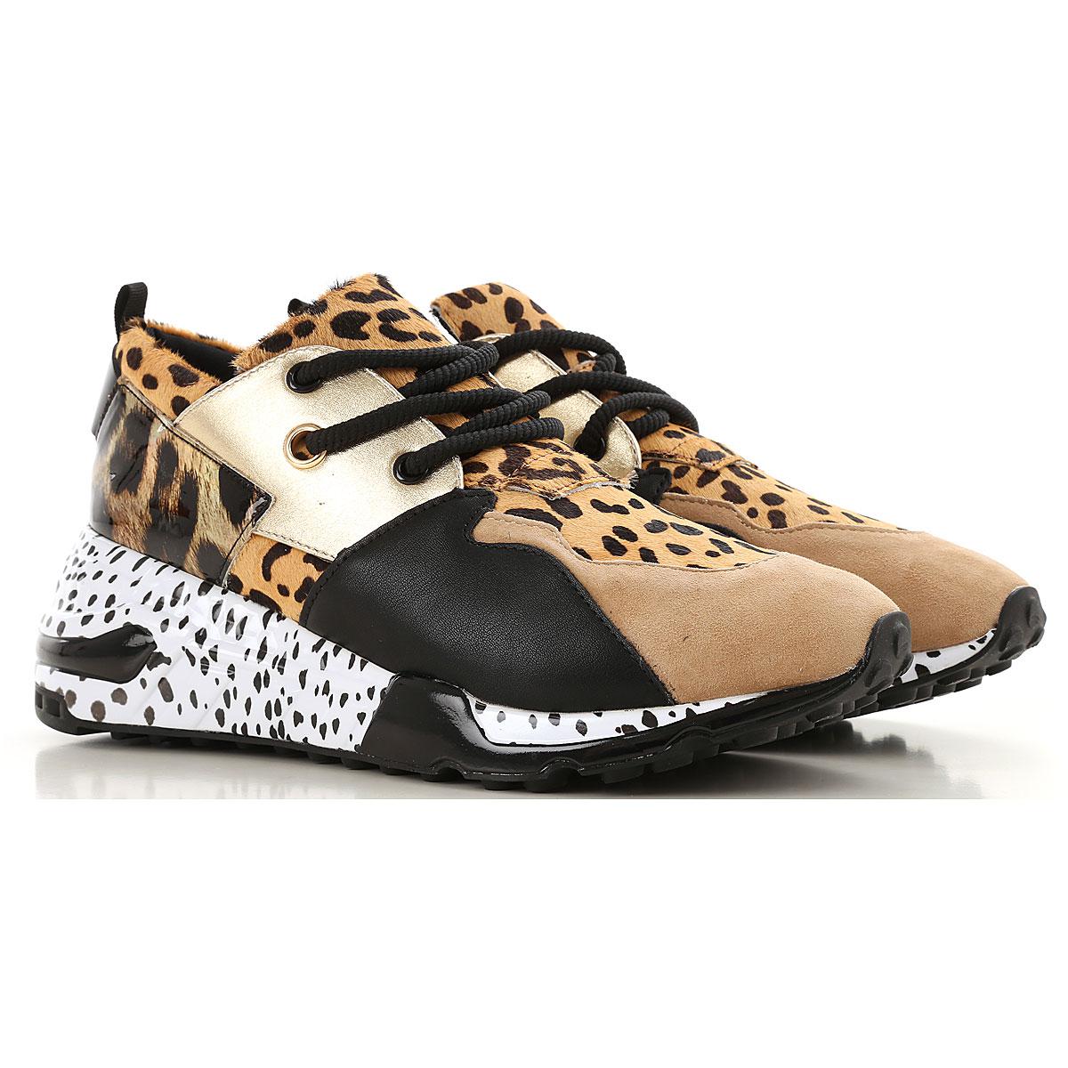 cliff animal steve madden