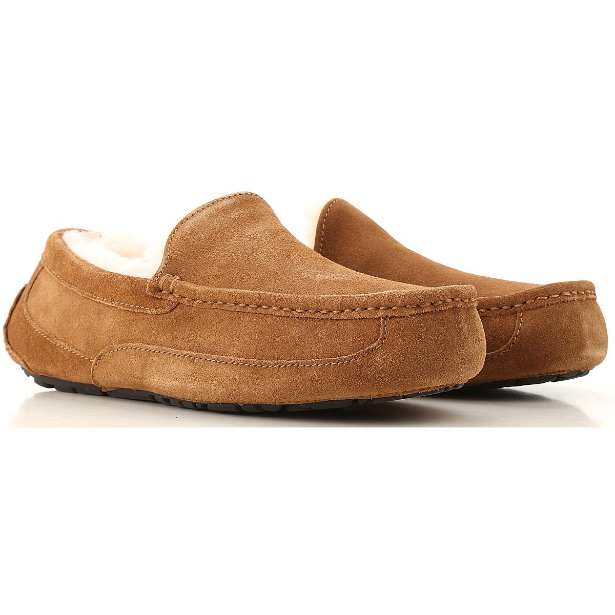 avis pegasus 35