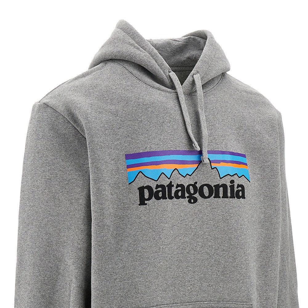Patagonia Hoodies for Men Online Sale up to 38 off Lyst