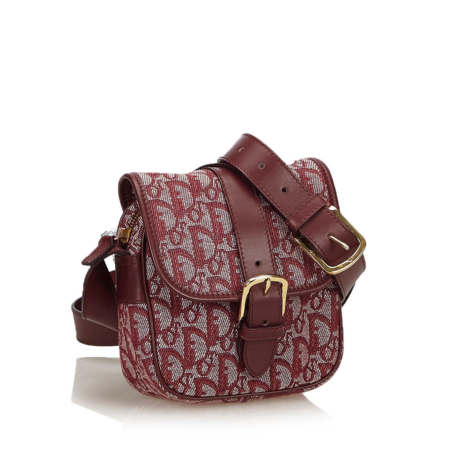 Dior Crossbody Bag Used IUCN Water