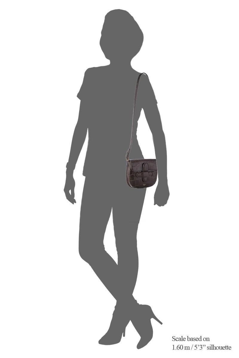 celine mini symmetrical bag