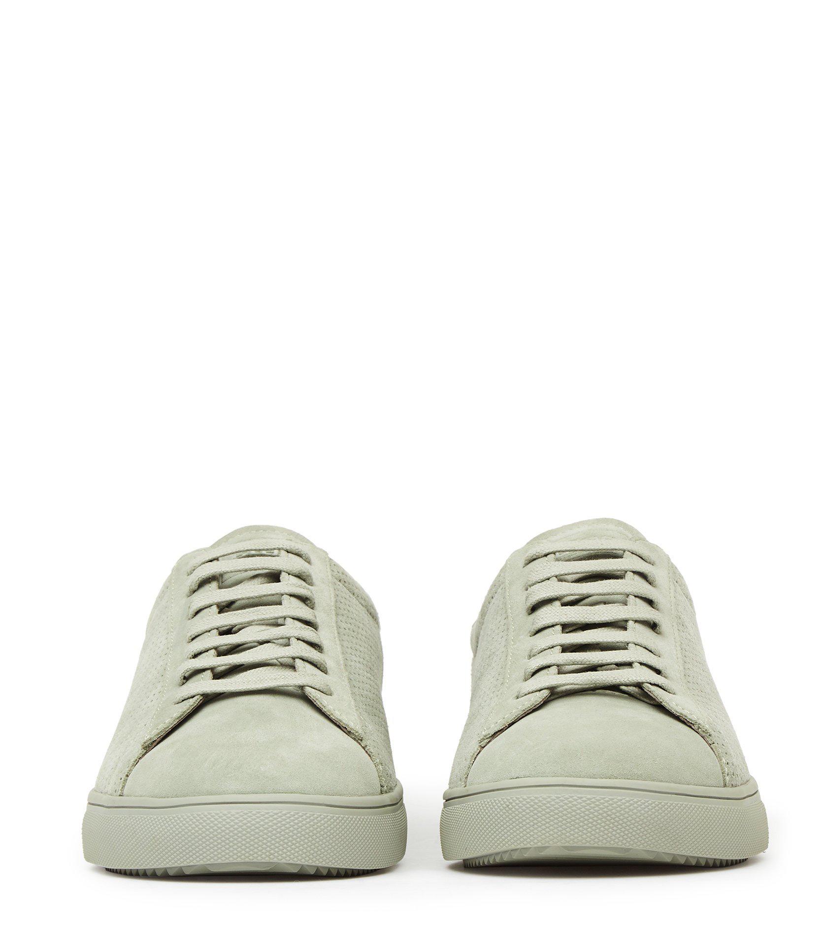clae reiss