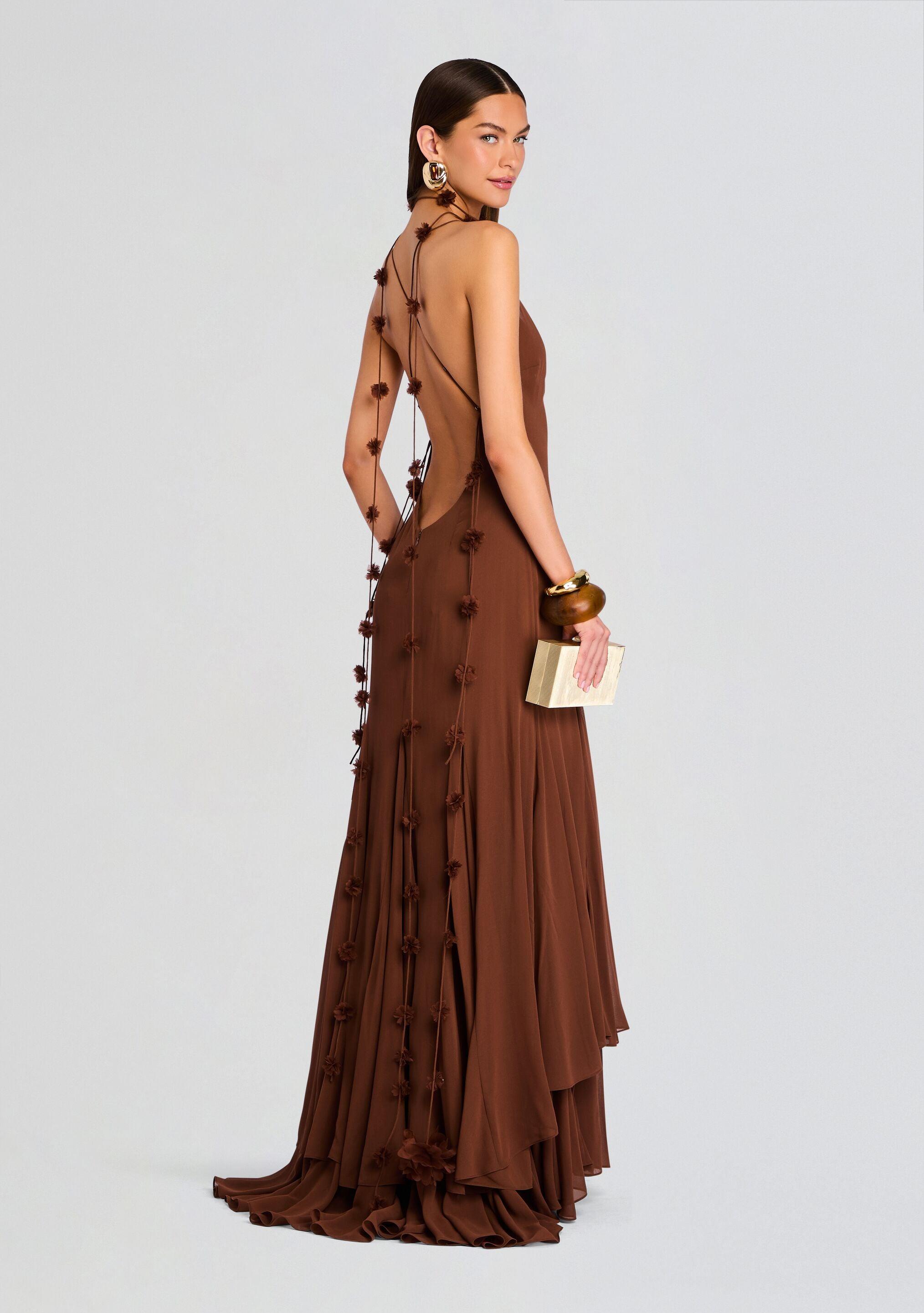brown dog dress Luciana Maxi Dress main image 0