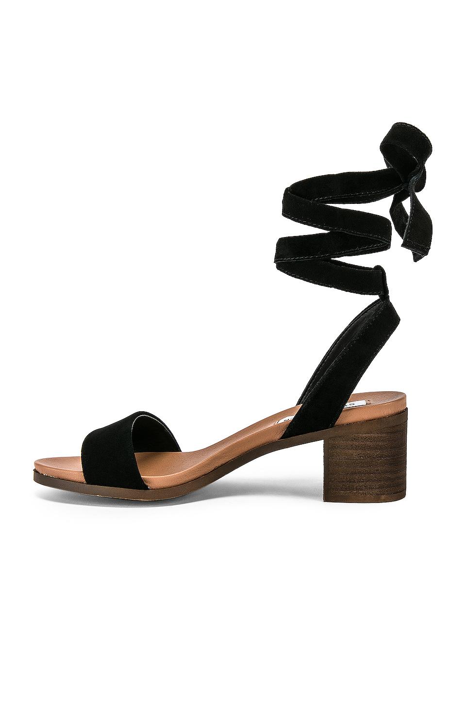 adrianne sandal steve madden