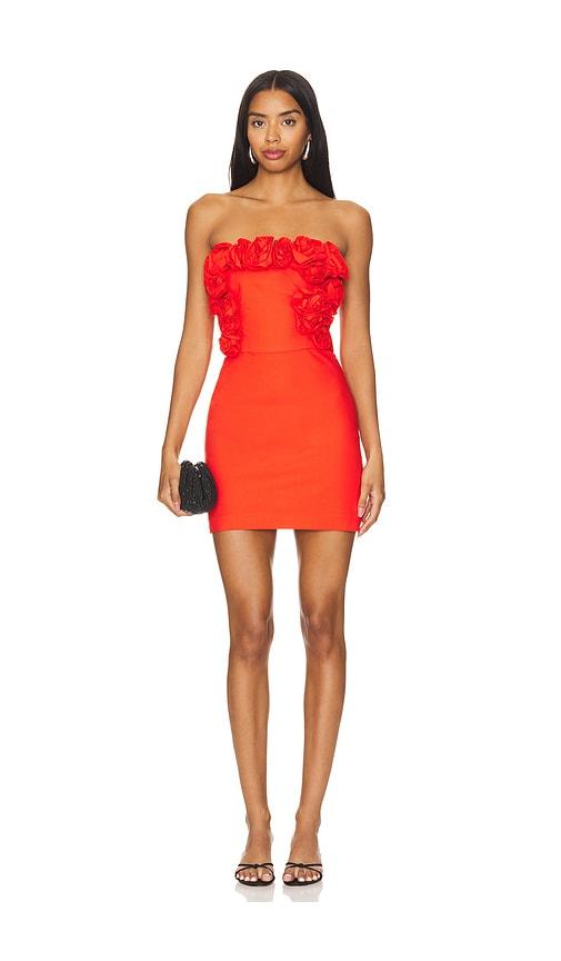 knee length dresses for ladies Baranova Ruffle-Trim Mini Dress in Light Blue & Navy main image 1