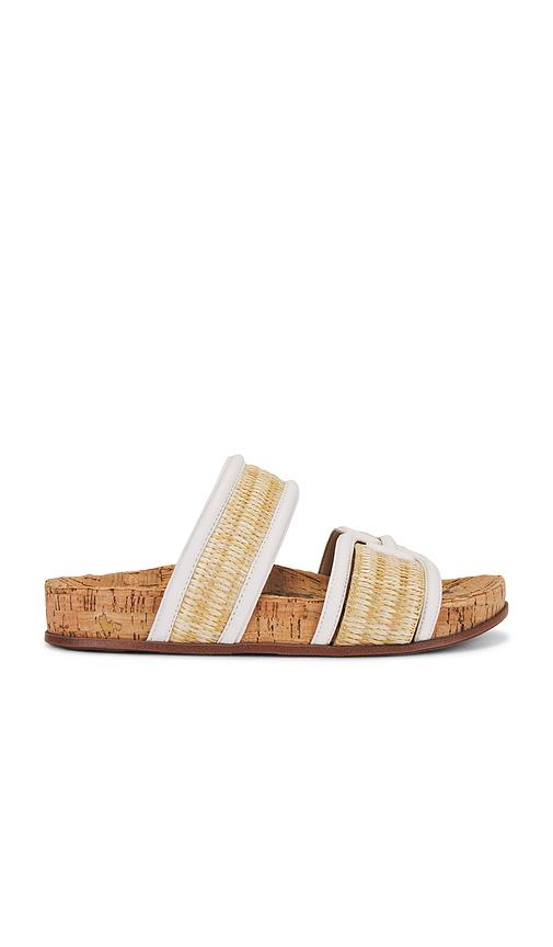 Zapatos Sam Edelman | Calzado online en
