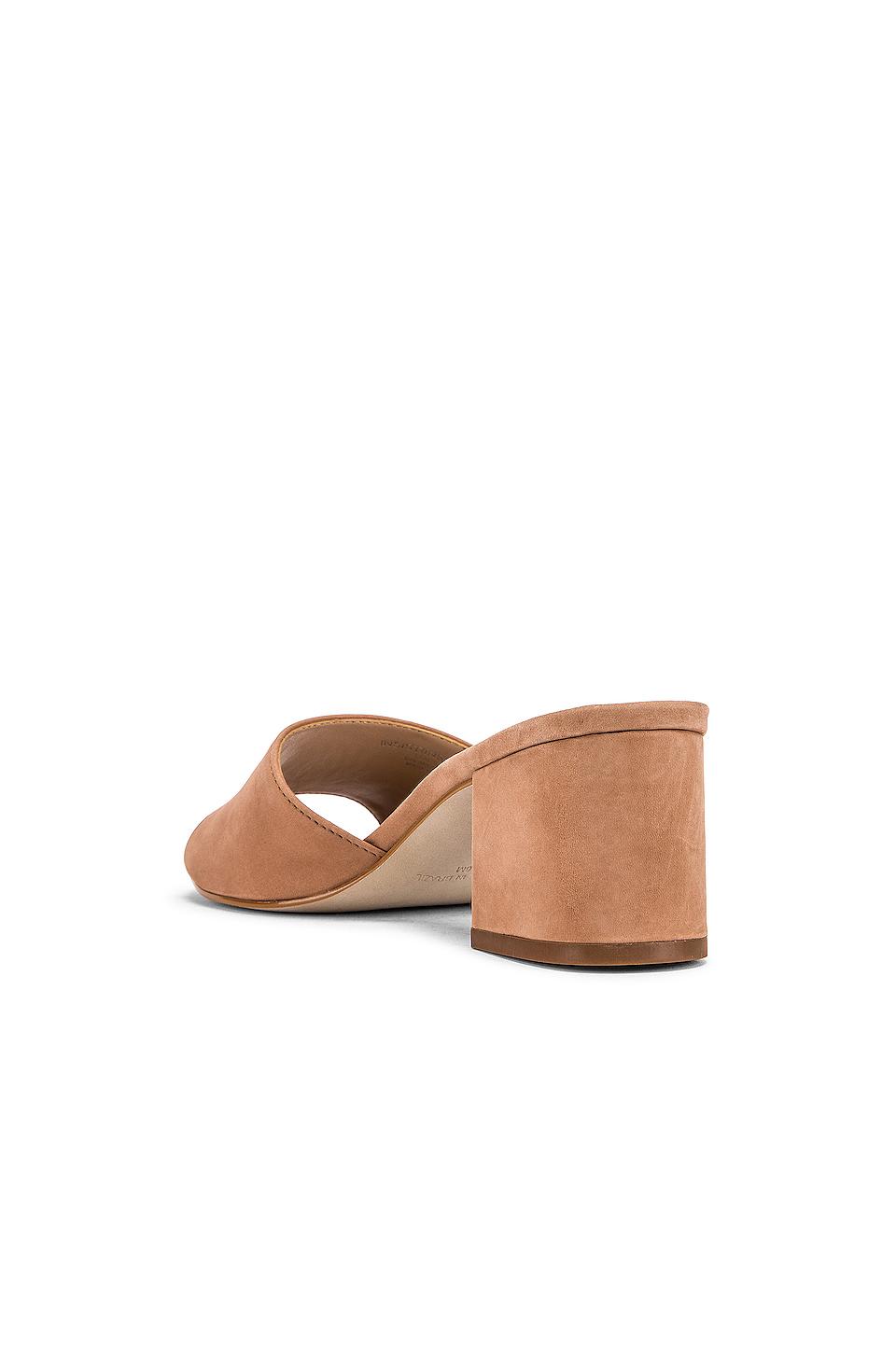 steve madden insist