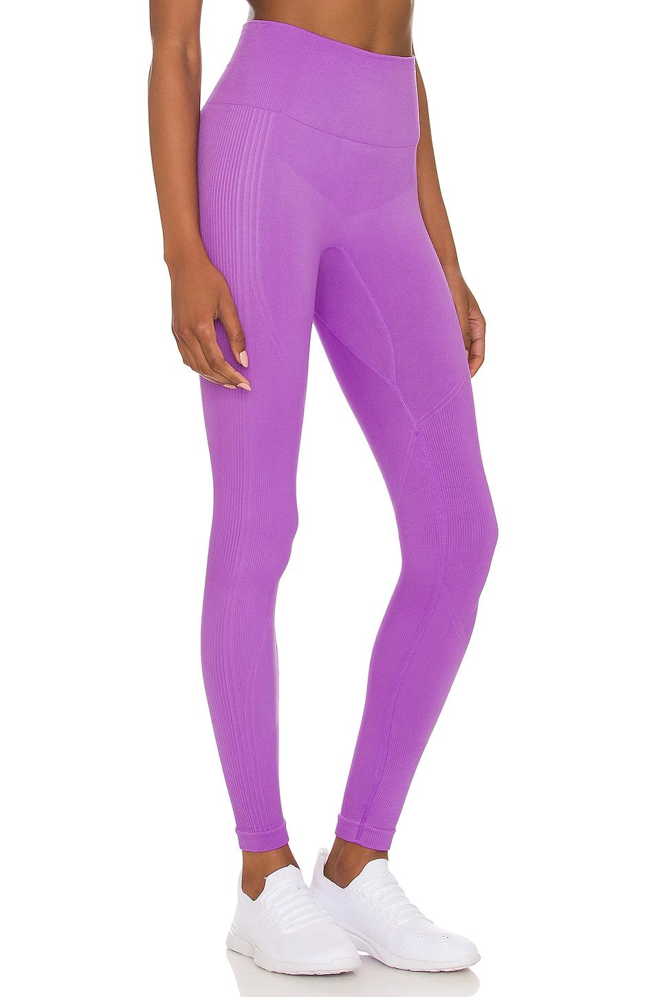 Alala Synthetic Seamless Rib Legging in 