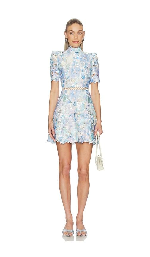 Blue Elliatt Dresses for Women