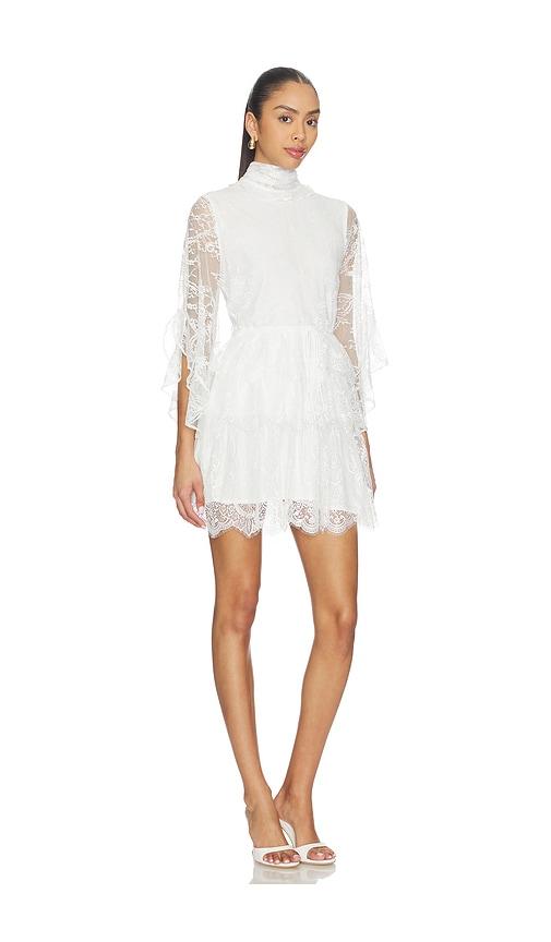 embroidered lace dress bardot Bardot Mariko exclusive halter neck floral embroidered lace maxi dress in sage green