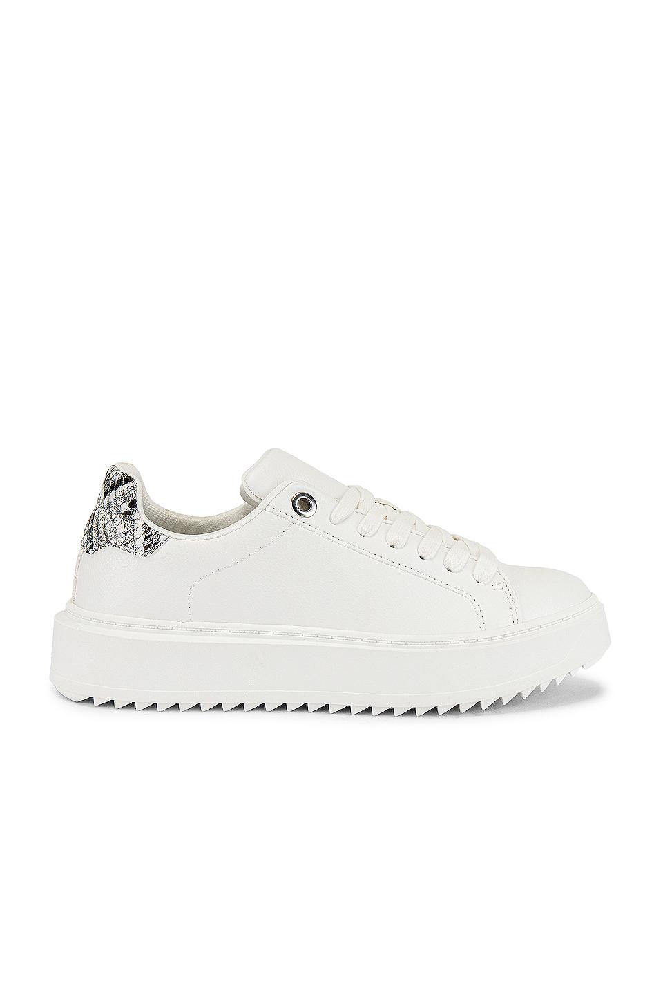 Steve Madden Catcher Sneaker in White | Lyst