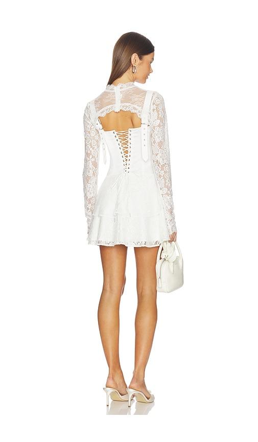 knee length dresses for ladies SWIRL Mini Dress | Pink Mesh Cut-Out Dress
