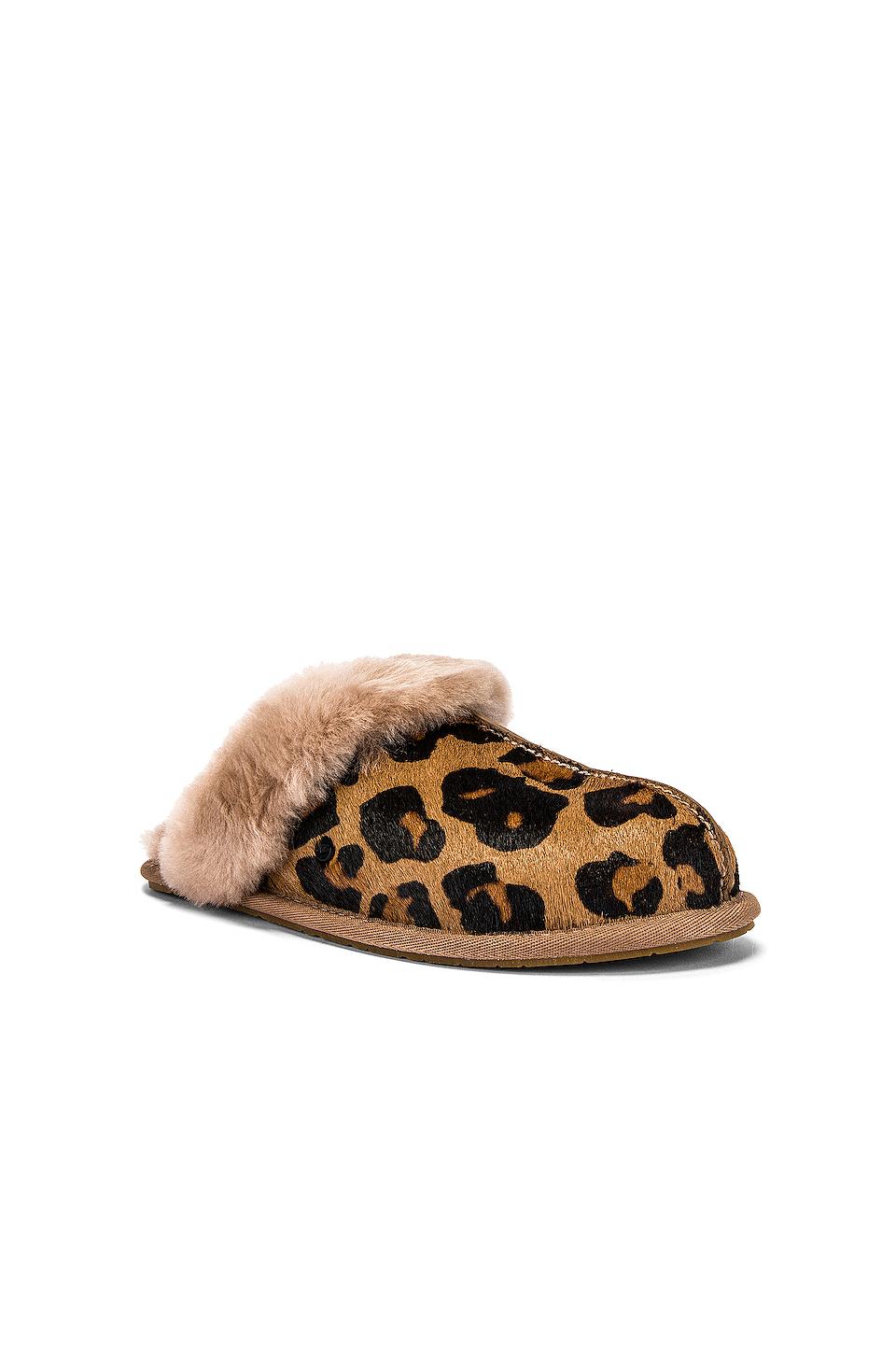 ugg scuffette slippers leopard